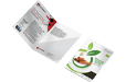 Brochure Designing Gandhidham